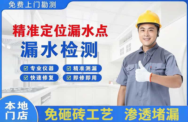 龙眠精准测漏点